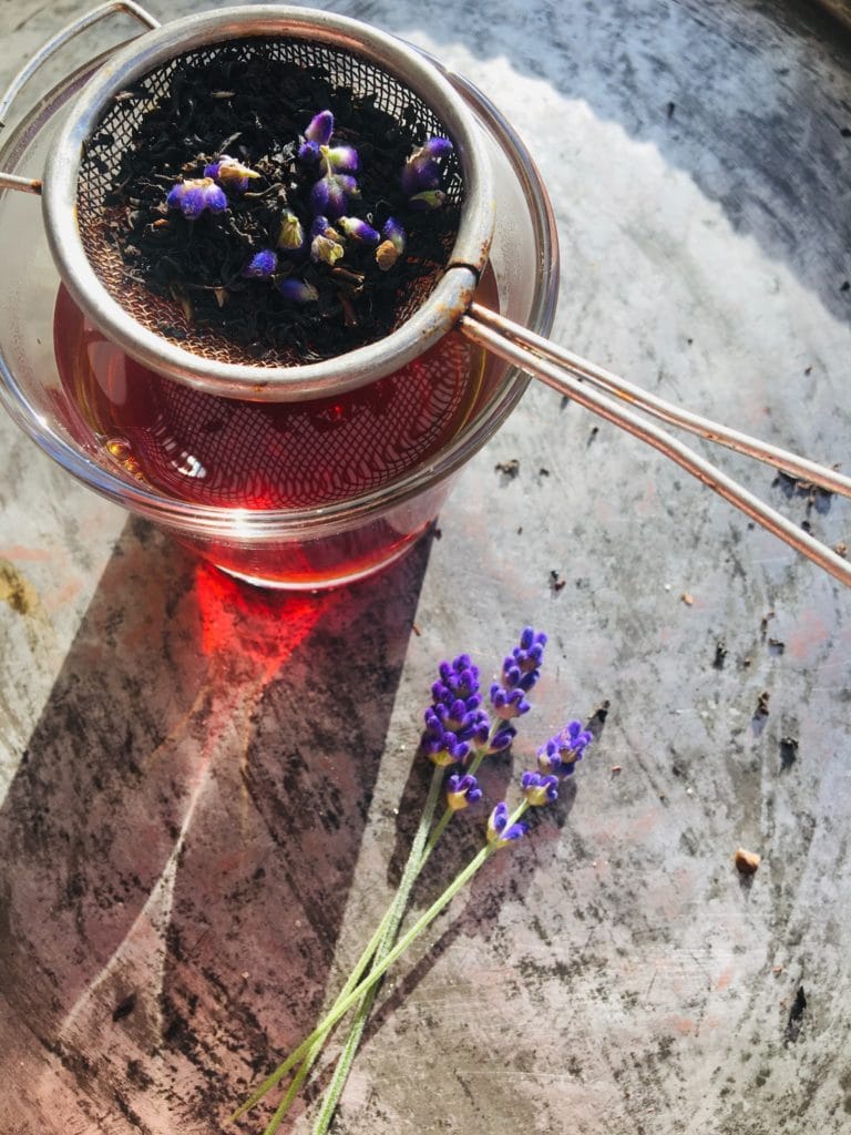 Lavender flowers brewing in tea sieve