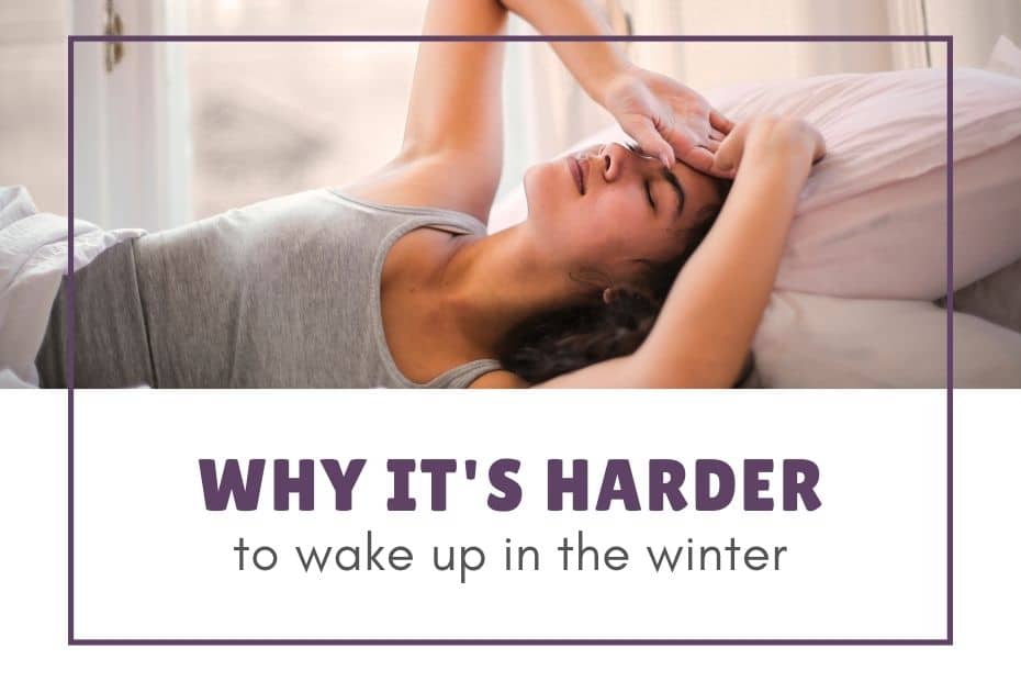 why-it-s-harder-to-wake-up-in-the-winter-superfoods-company-blog